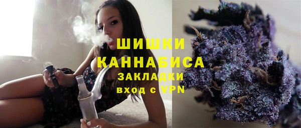 хмурый Богородицк