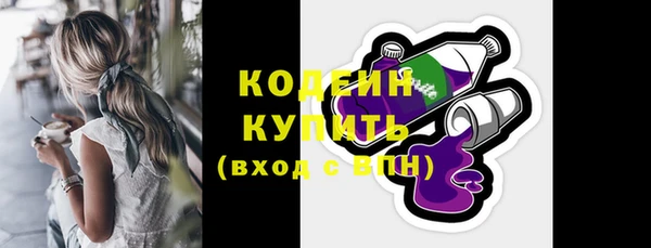 хмурый Богородицк