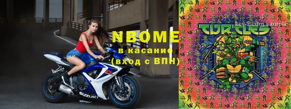хмурый Богородицк