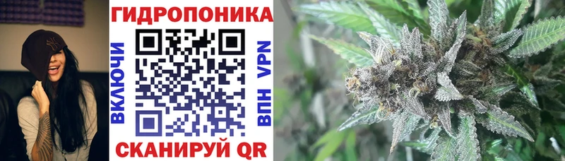 Марихуана White Widow дарк нет наркотические препараты Дубовка где купить наркоту